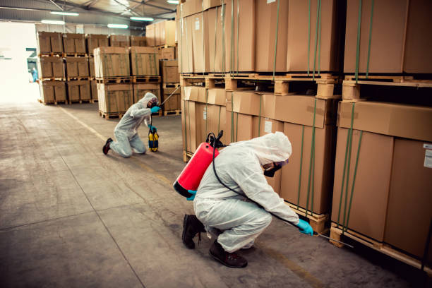 Trusted Sleepy Hollow, IL Pest Control Experts