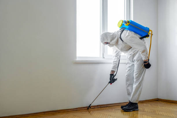 Best Emergency Pest Control  in Sleepy Hollow, IL