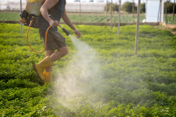 Pest Prevention Services in Sleepy Hollow, IL