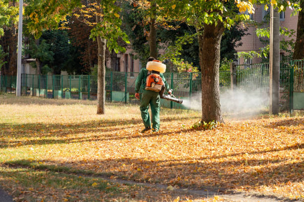 Wasp Removal Services in Sleepy Hollow, IL