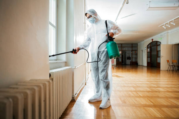 Best Local Pest Control Services  in Sleepy Hollow, IL